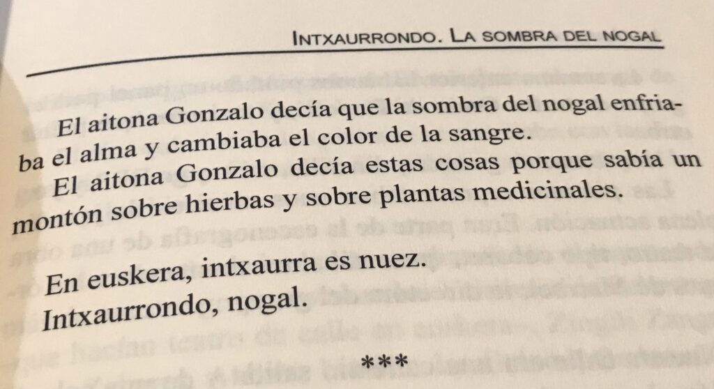 Intxaurrondo, la sombra del nogal, de Ion Arretxe